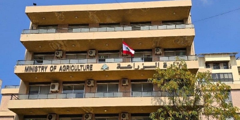 وزارة الزراعة تؤكّد مضمون تصريح وزير الإعلام وتُطمئن: الحمّى القلاعية لا تنتقل إلى الإنسان