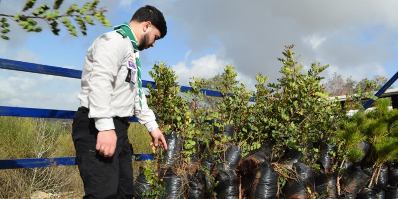 بلدية حانين تتسلم 200 شجرة ضمن مبادرة 